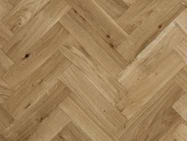 European Oak